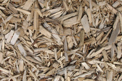 biomass boilers Denbigh